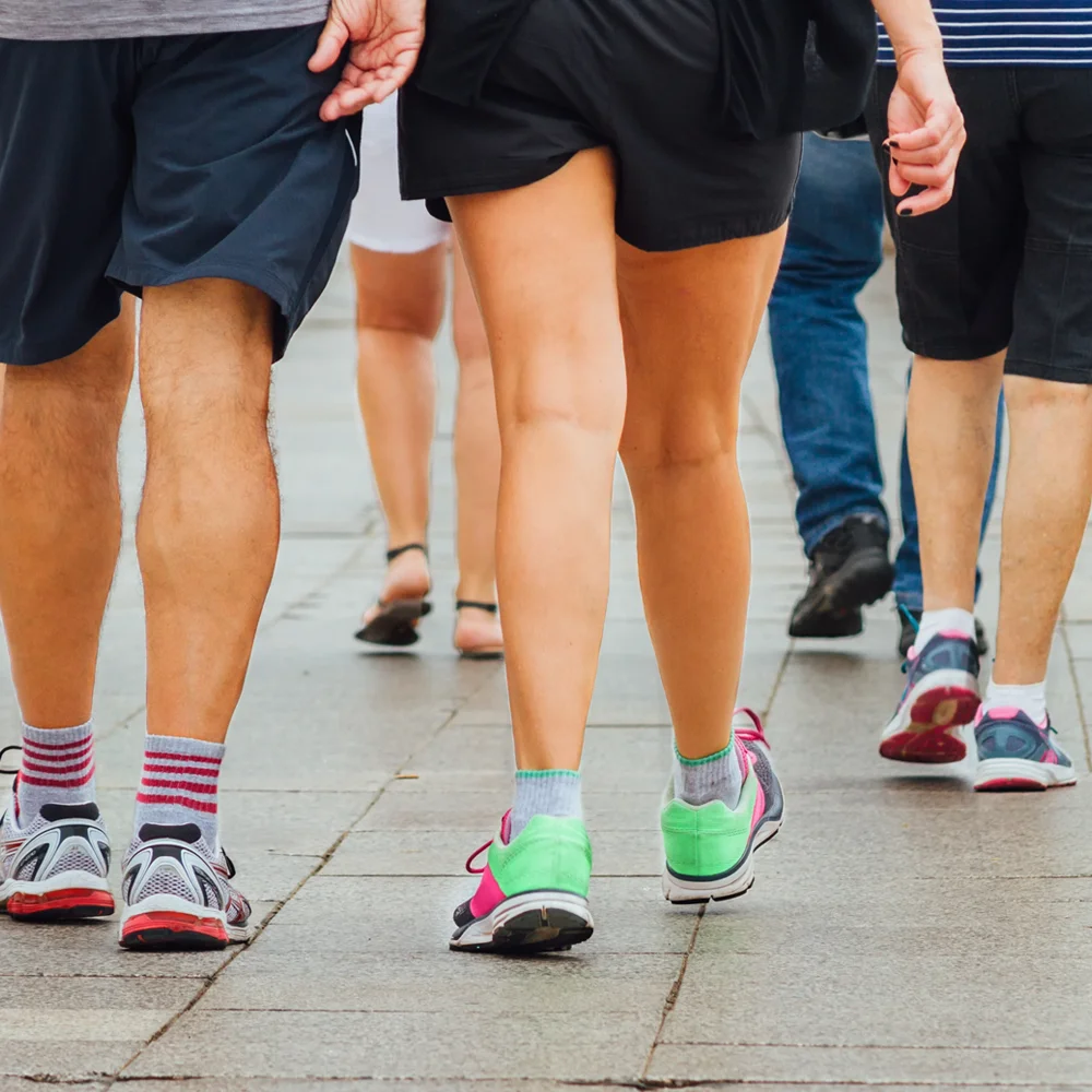 Input-Fitness-Group-Fitness-Walking-Group