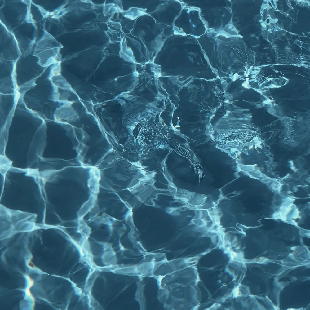 Input-Health-Hub-Wellness-Pool-Spa